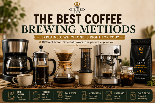 The Best Coffee Brewing Methods Explained: Which One Is Right for You?