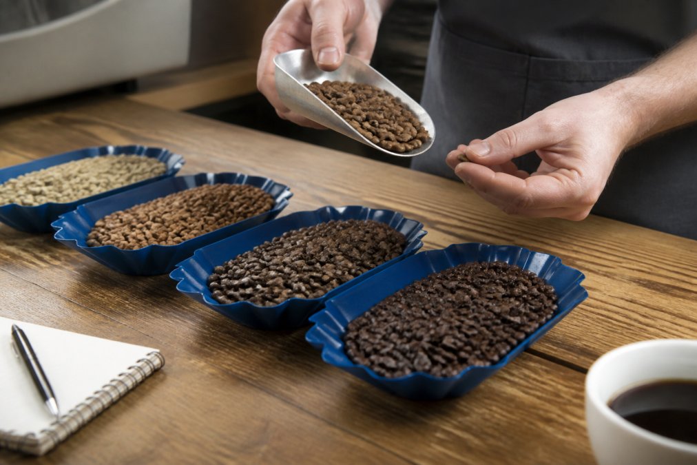 How to Choose a Coffee Roast Profile: 2026 Guide
